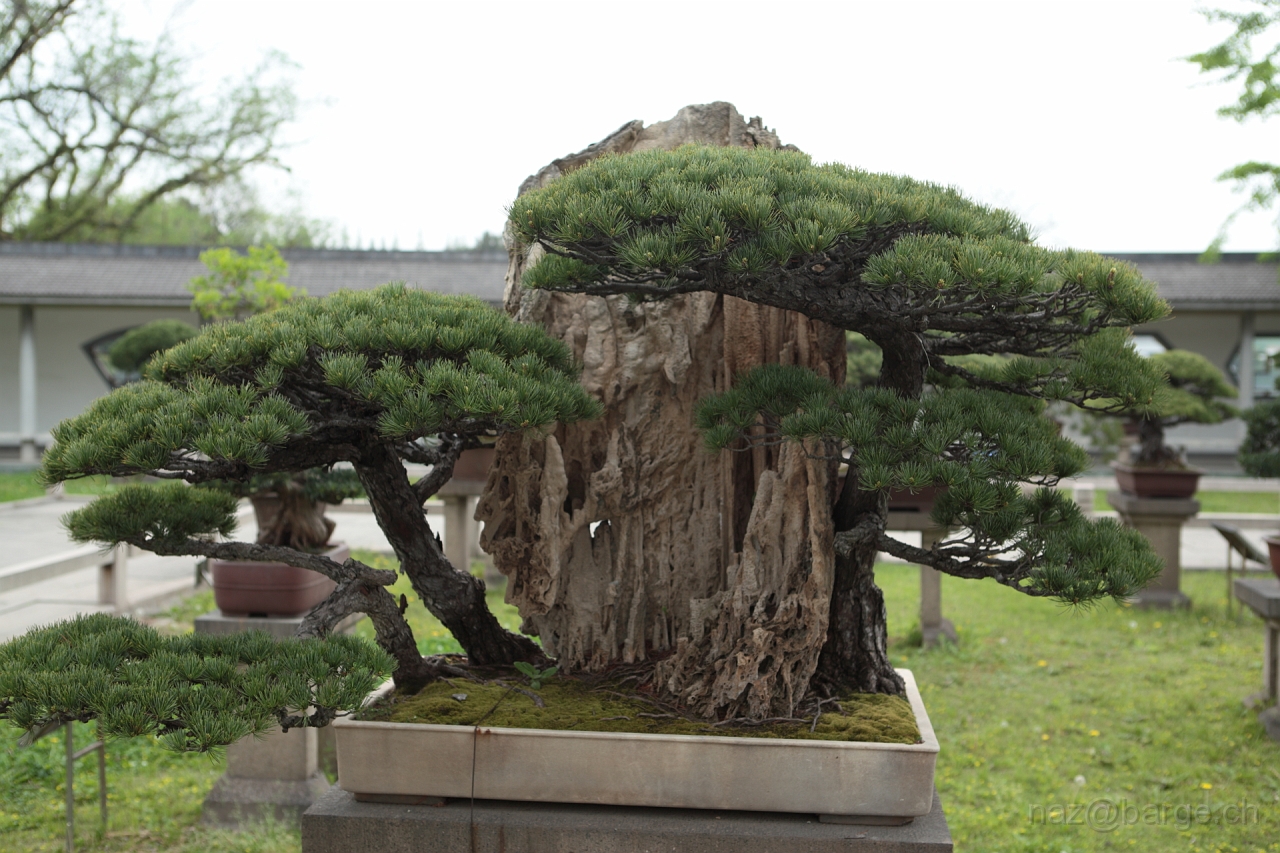 EOS 5D Mark II16_04_20135084.JPG